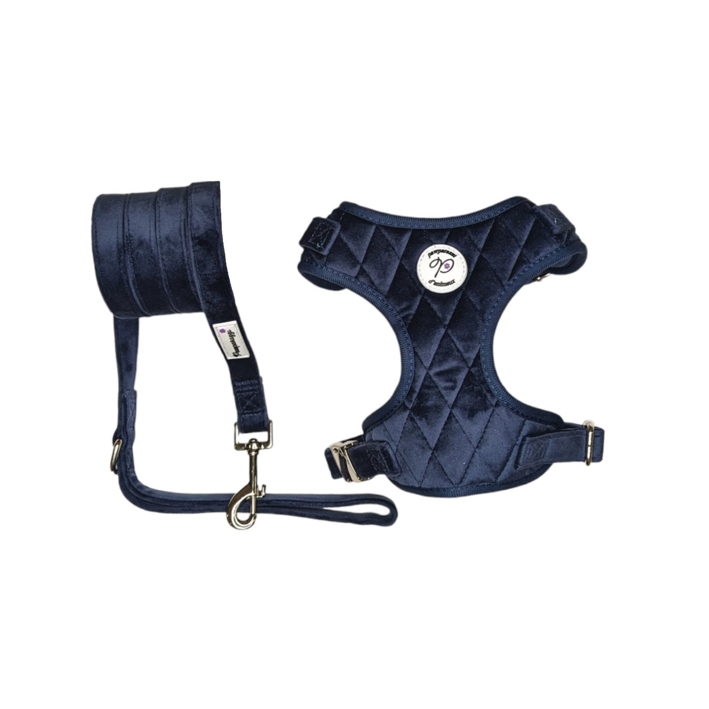 Pawparazzi d'animaux - Harnais et laisse pour chien en velours (couleurs disponibles)