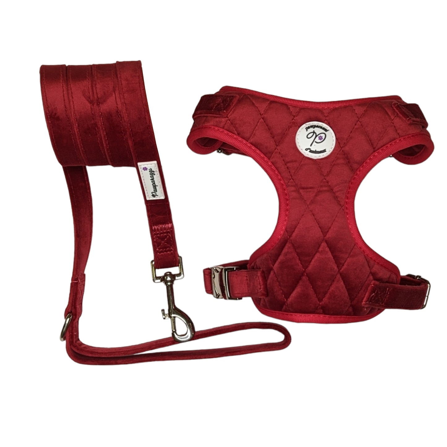 Pawparazzi d'animaux - Harnais et laisse pour chien en velours (couleurs disponibles)