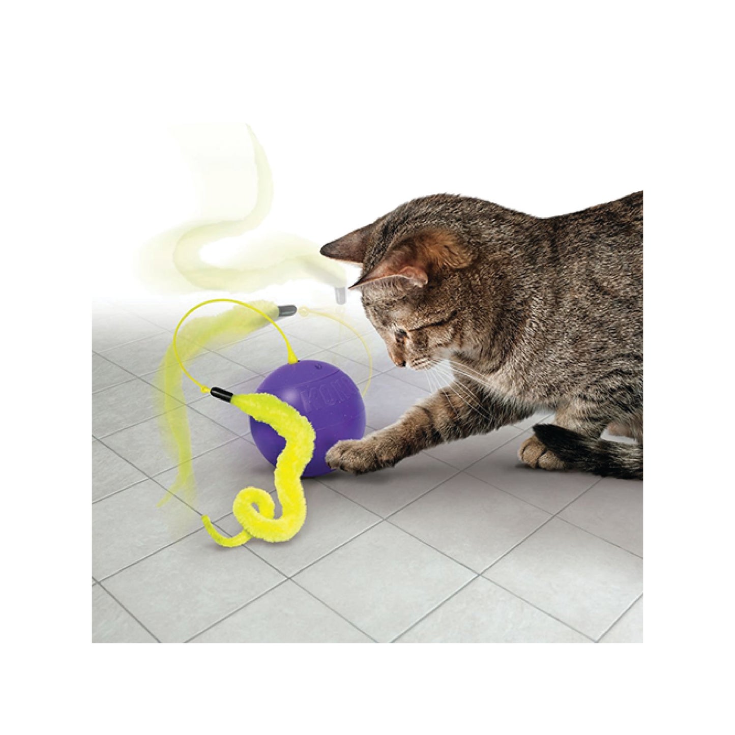Cat Playing