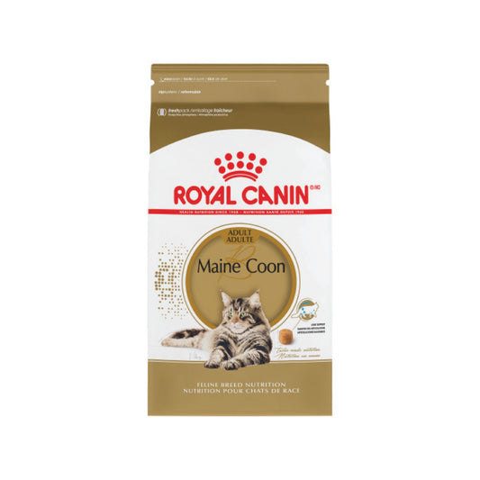 Royal Canin - Nourriture sèche pour Maine Coon