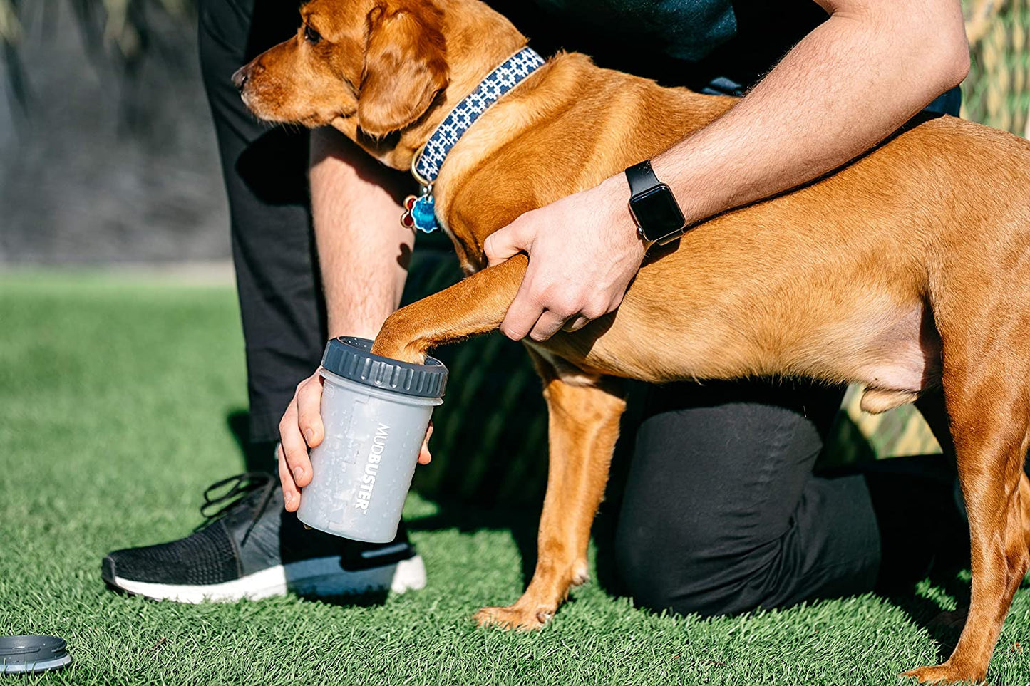 Dexas - Le nettoyeur de pattes de chien Mudbuster avec couvercle (moyen et large, gris)