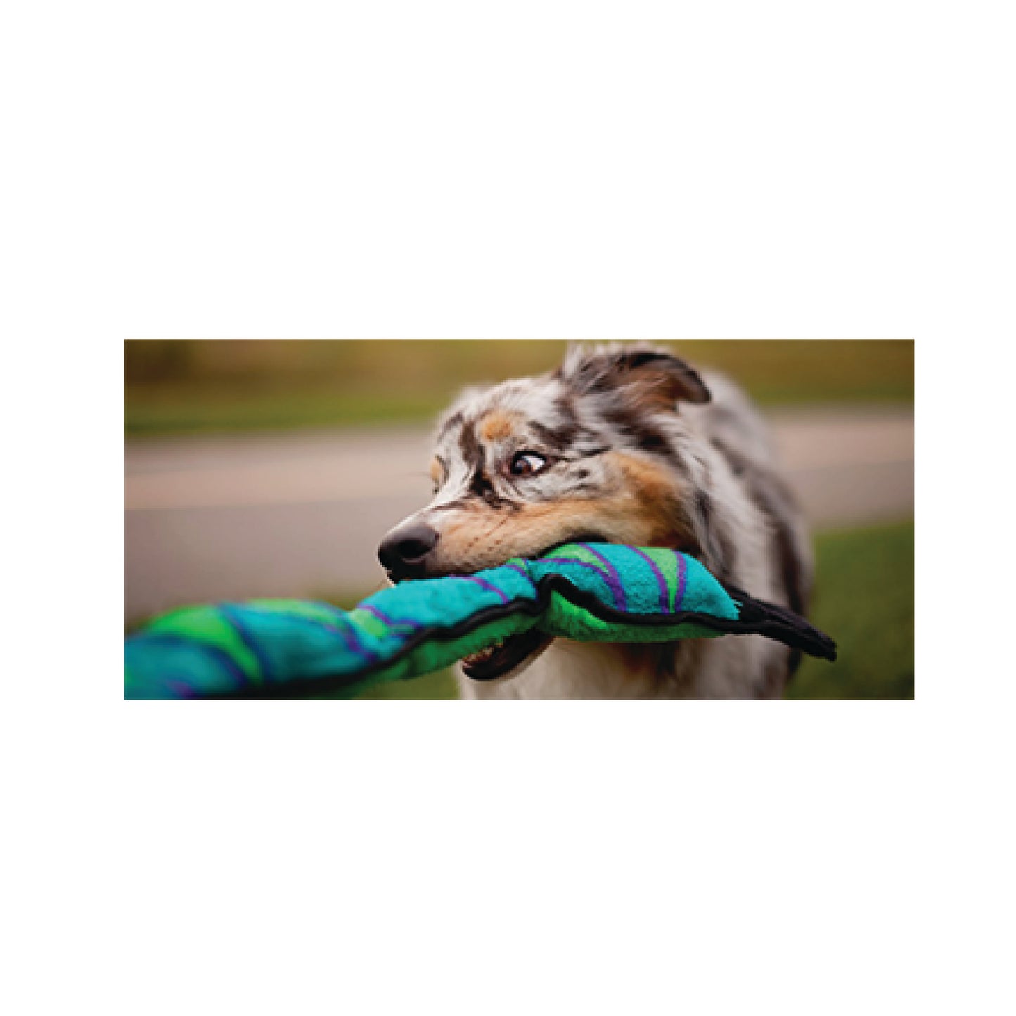 Outward Hound - Invincibles Snake (with 3 Squeakers)