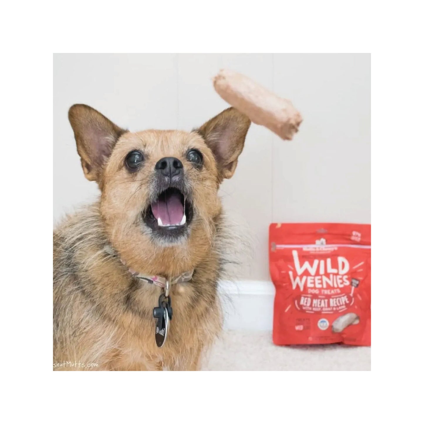 Stella & Chewy's - Friandises lyophilisées Red Meat Wild Weenies