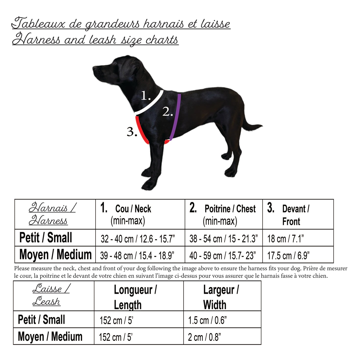 Pawparazzi d'animaux - Harnais et laisse pour chien en velours (couleurs disponibles)
