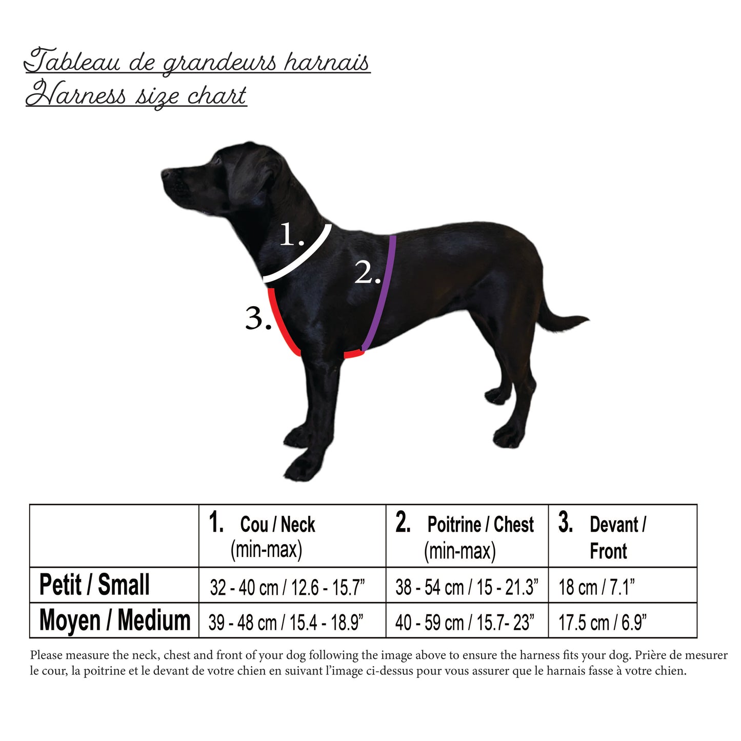 Pawparazzi d'animaux - Ensemble en velours pour chien collier, laisse, harnais, nœud papillon & porte-sac (couleurs disponibles)