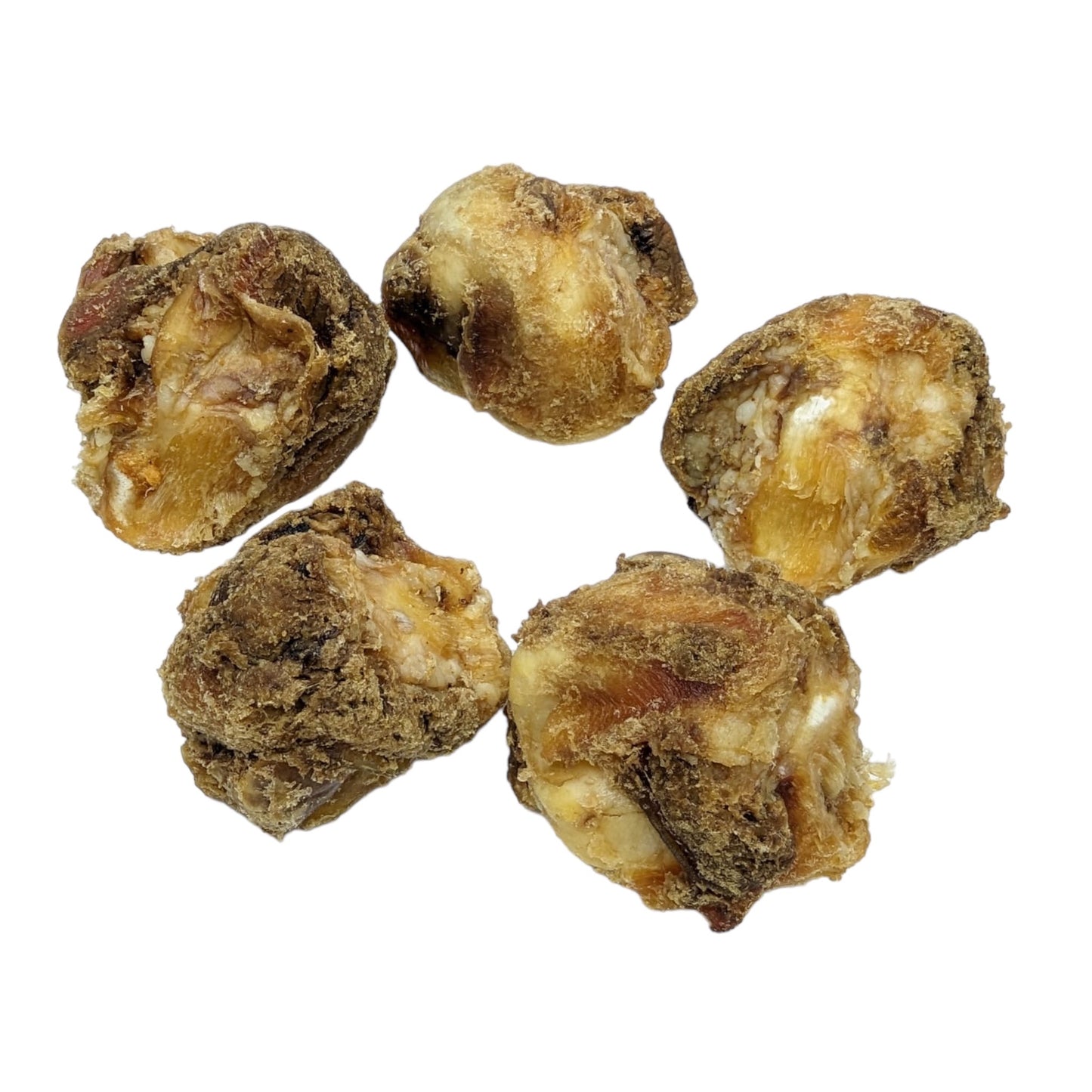 Petz Gourmet - Os anti-tartre (paquet de 5 os)