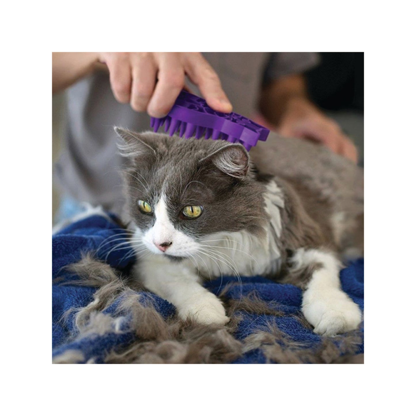 Kong - ZoomGroom (pour chats)