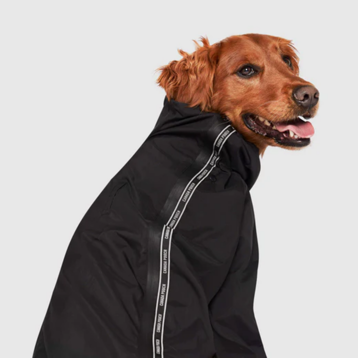 Canada Pooch - Dog Slush Suit (Black, Sizes available)