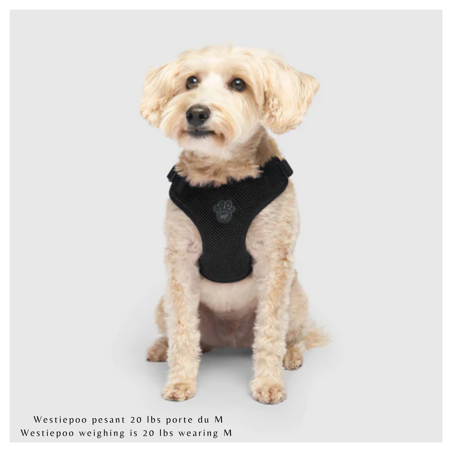 Canada Pooch - Easy-On Step In Dog Harness (Black)