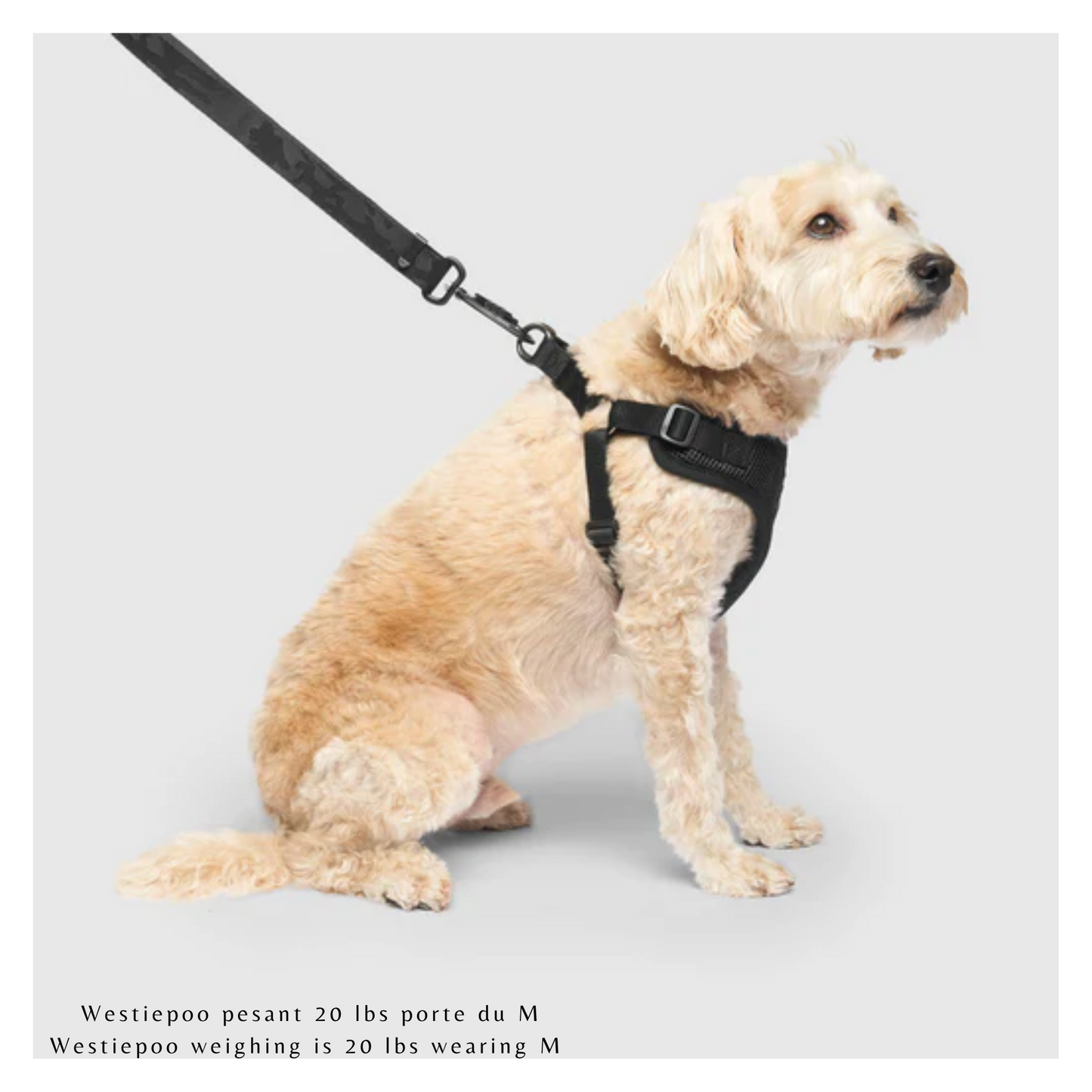 Canada Pooch - Easy-On Step In Dog Harness (Black)