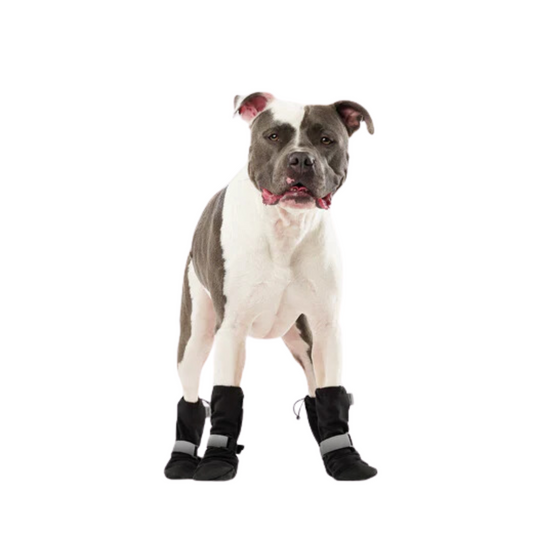Canada Pooch - Soft Shield Reflective Dog Boots (Black)