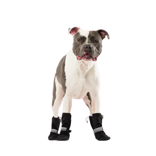 Canada Pooch - Bottes réfléchissantes et souples pour chien (noir)