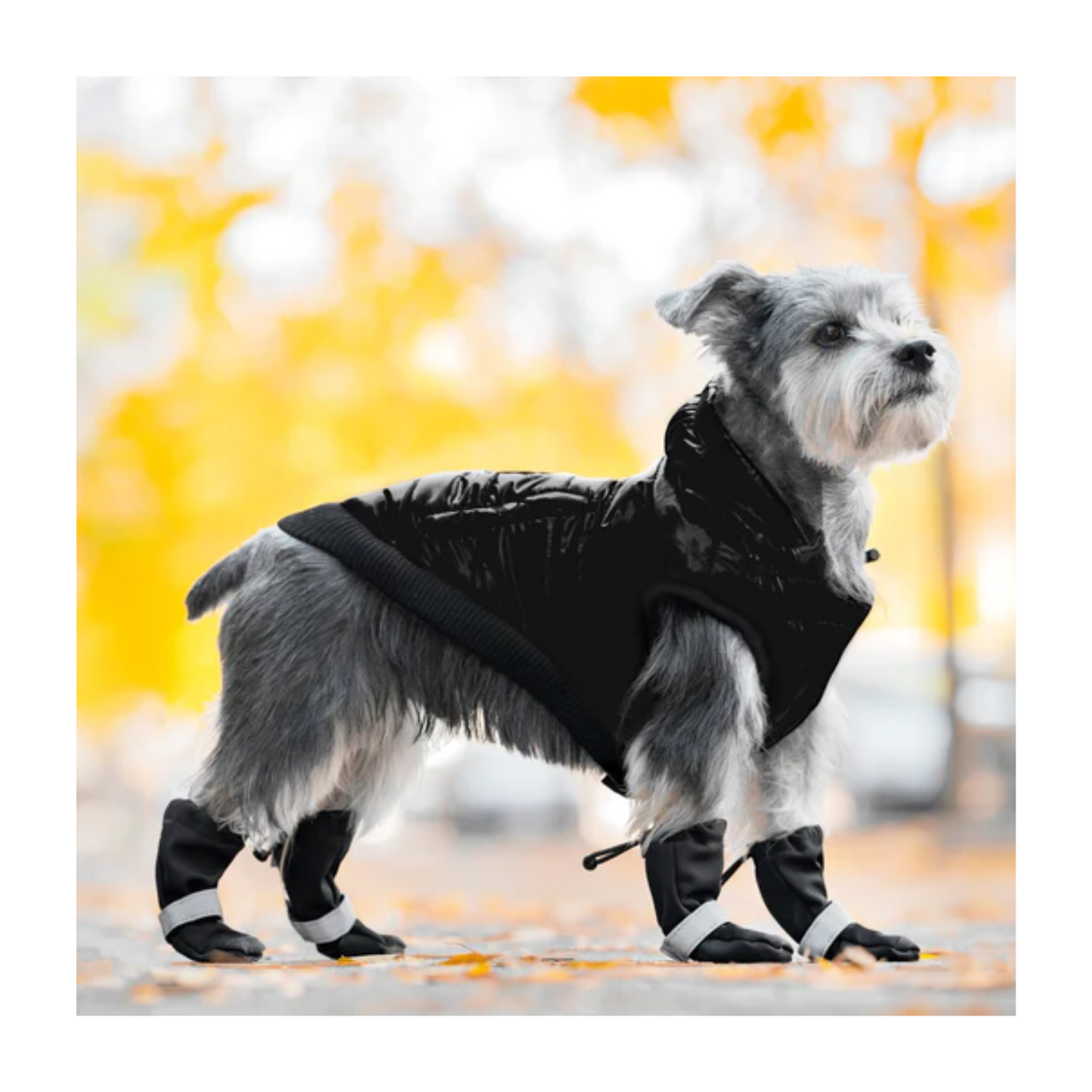 Canada Pooch - Soft Shield Reflective Dog Boots (Black)