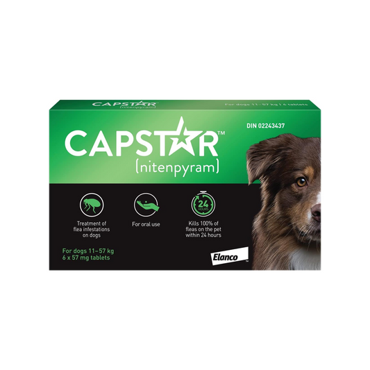 Capstar - Oral Flea Large Dog Treatment (11 kg and above)