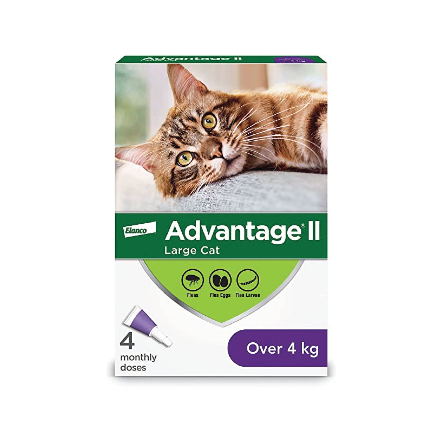 Advantage II - Flea Treatment for Cats (> 4 kg) pack of 4 doses