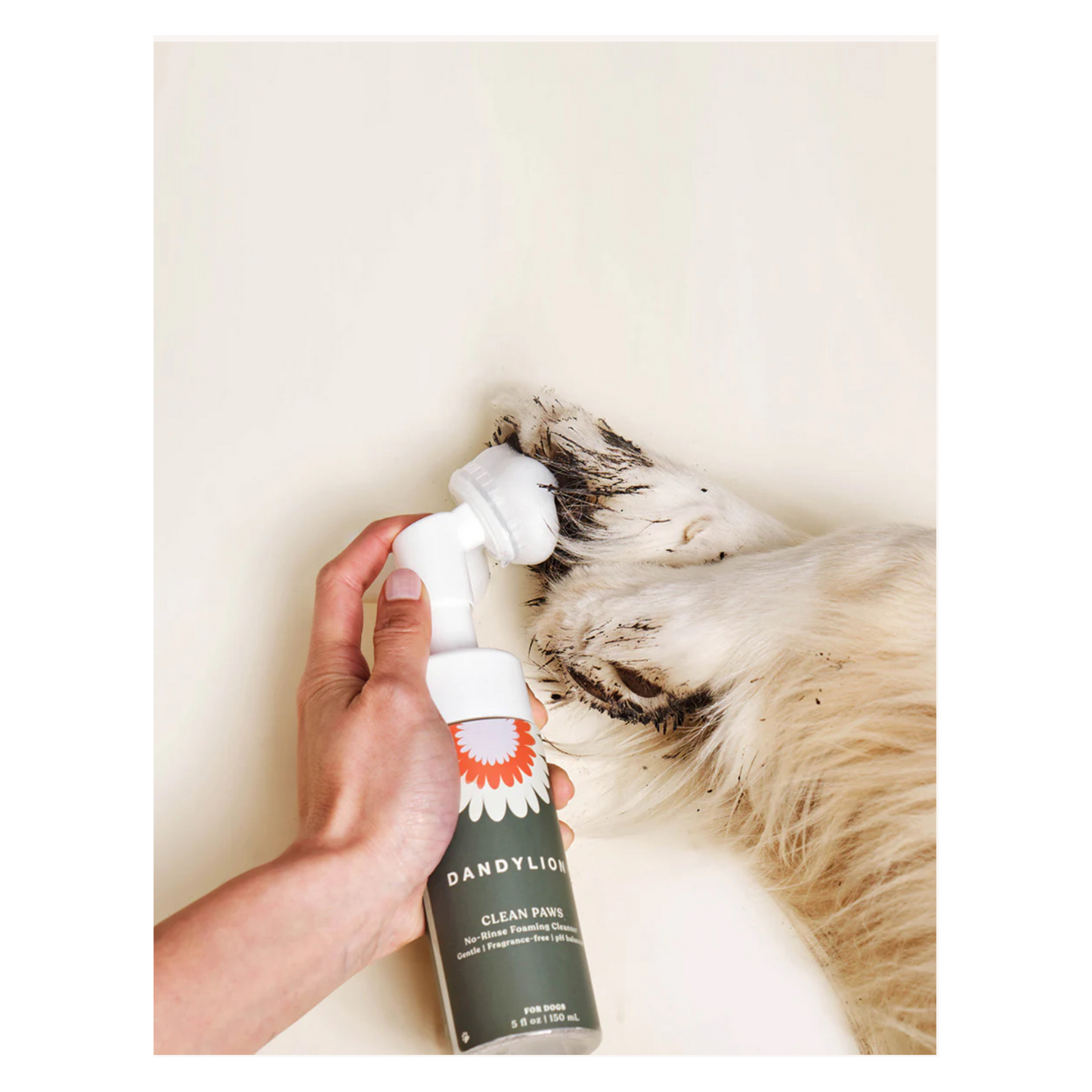 Dandylion - Clean Paws No-Rinse Foaming Cleanser