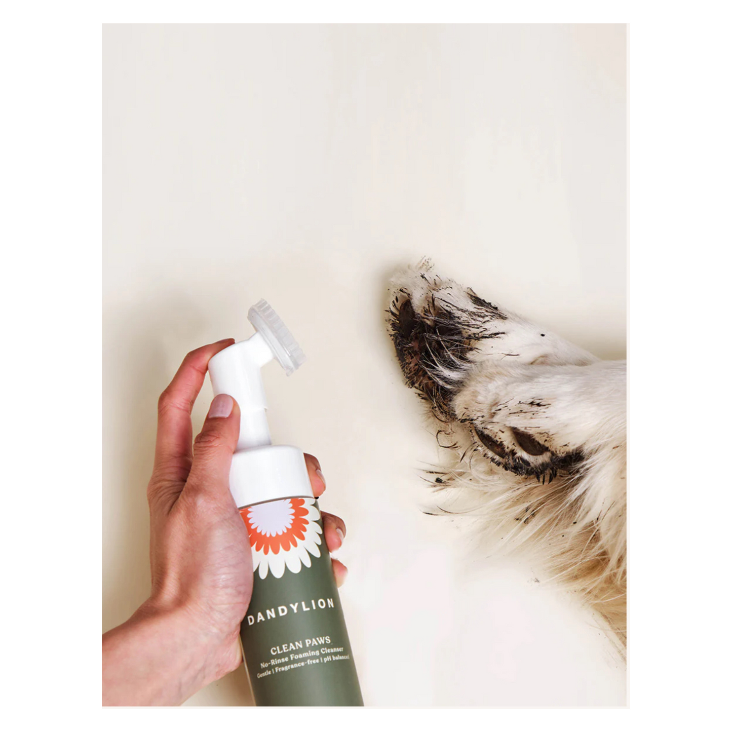 Dandylion - Clean Paws No-Rinse Foaming Cleanser