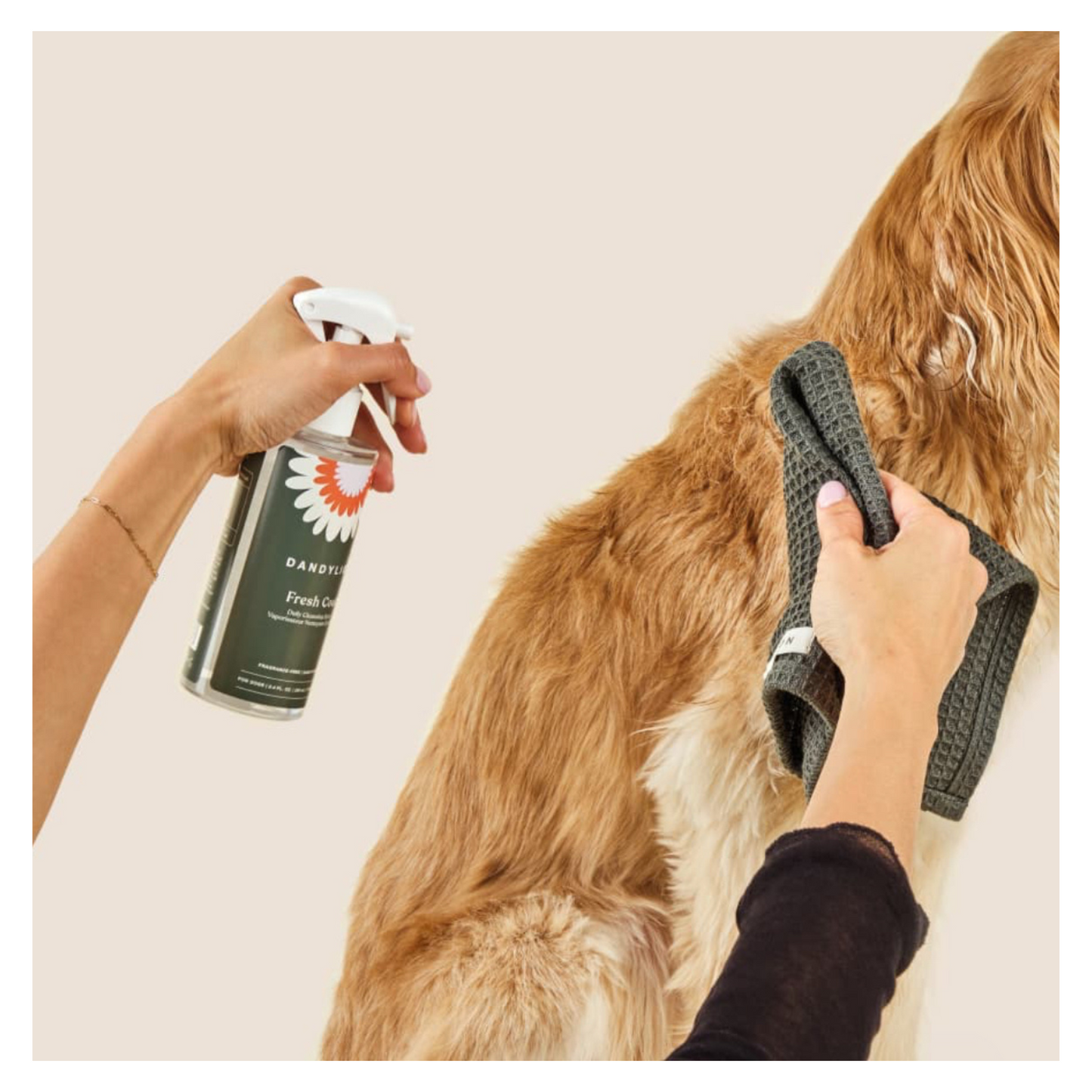 Dandylion - Shampooing sans eau et sans rinçage pour chien Fresh Coat Daily