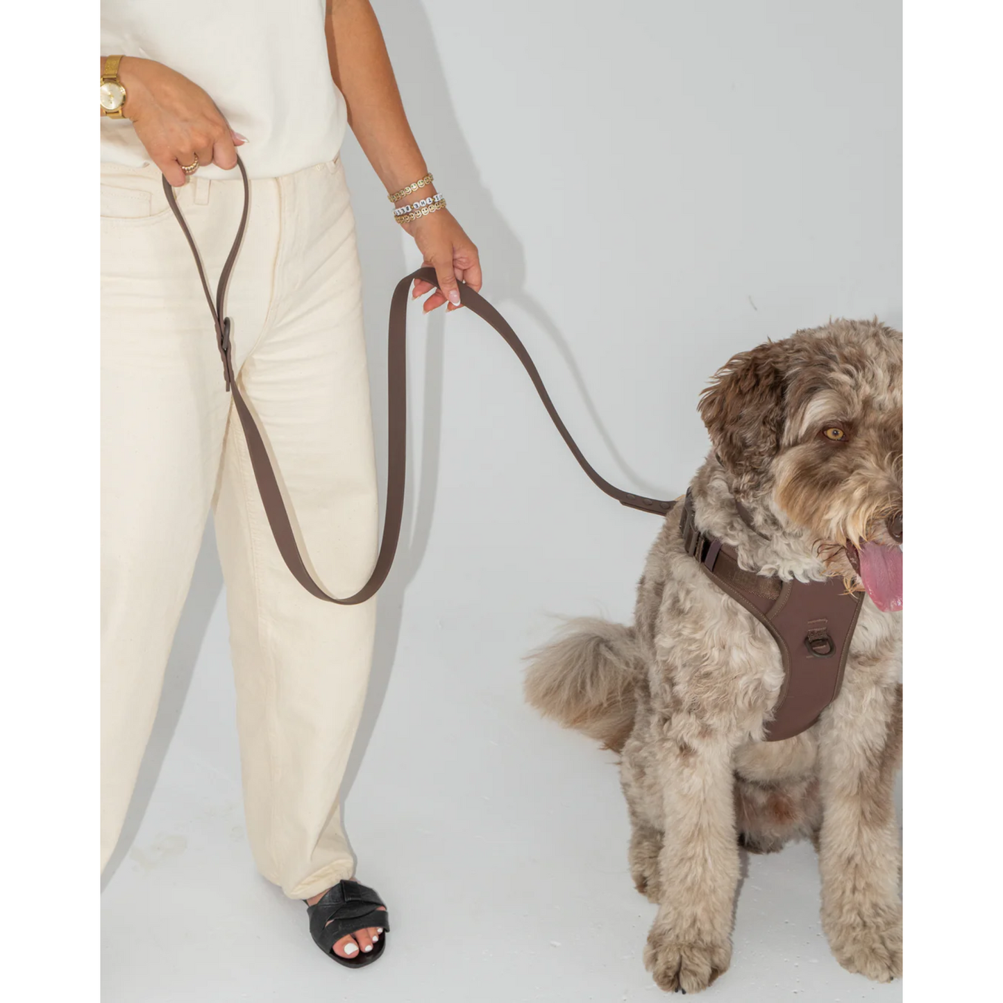 Dexypaws - Laisse imperméable pour chien (1,5 m, espresso)