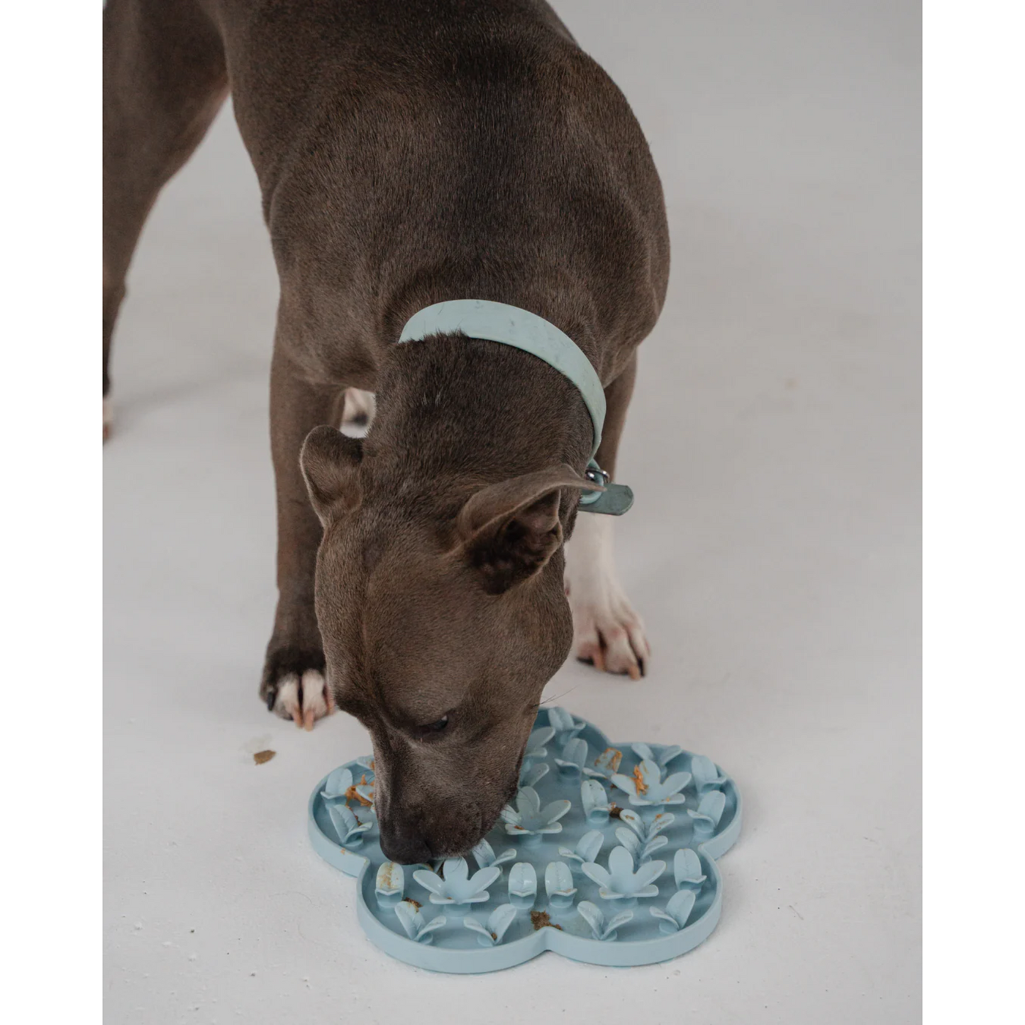 Dexypaws - Dog Enrichment Snuffle Mat (Blue Flower)