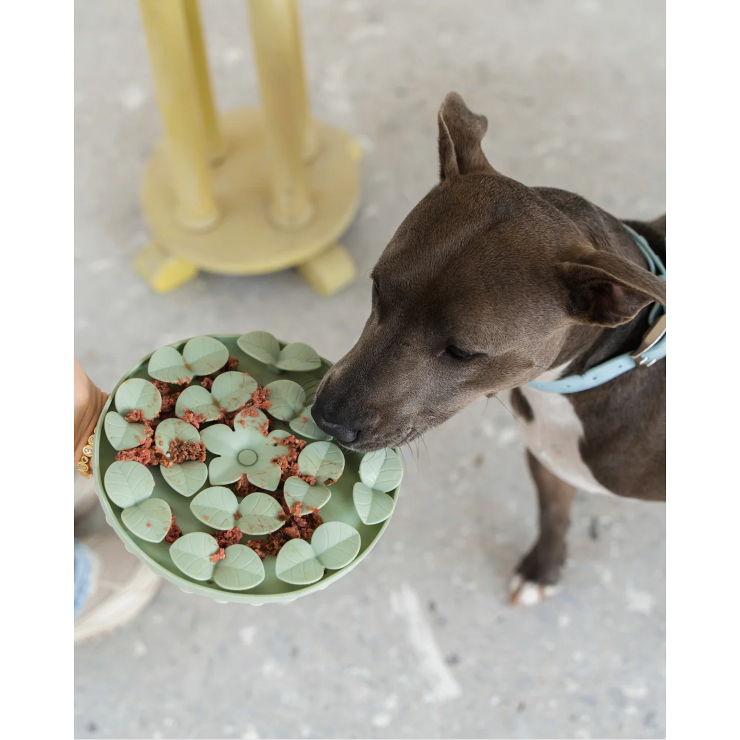 Dexypaws - Dog Enrichment Snuffle Mat (Sage Green Circle)