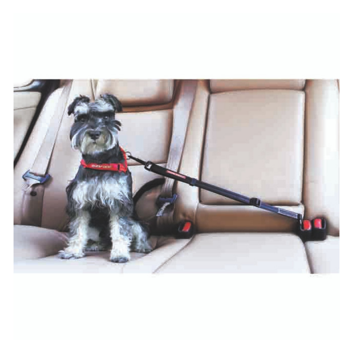 EzyDog - Seat Belt Car Harness Attachment