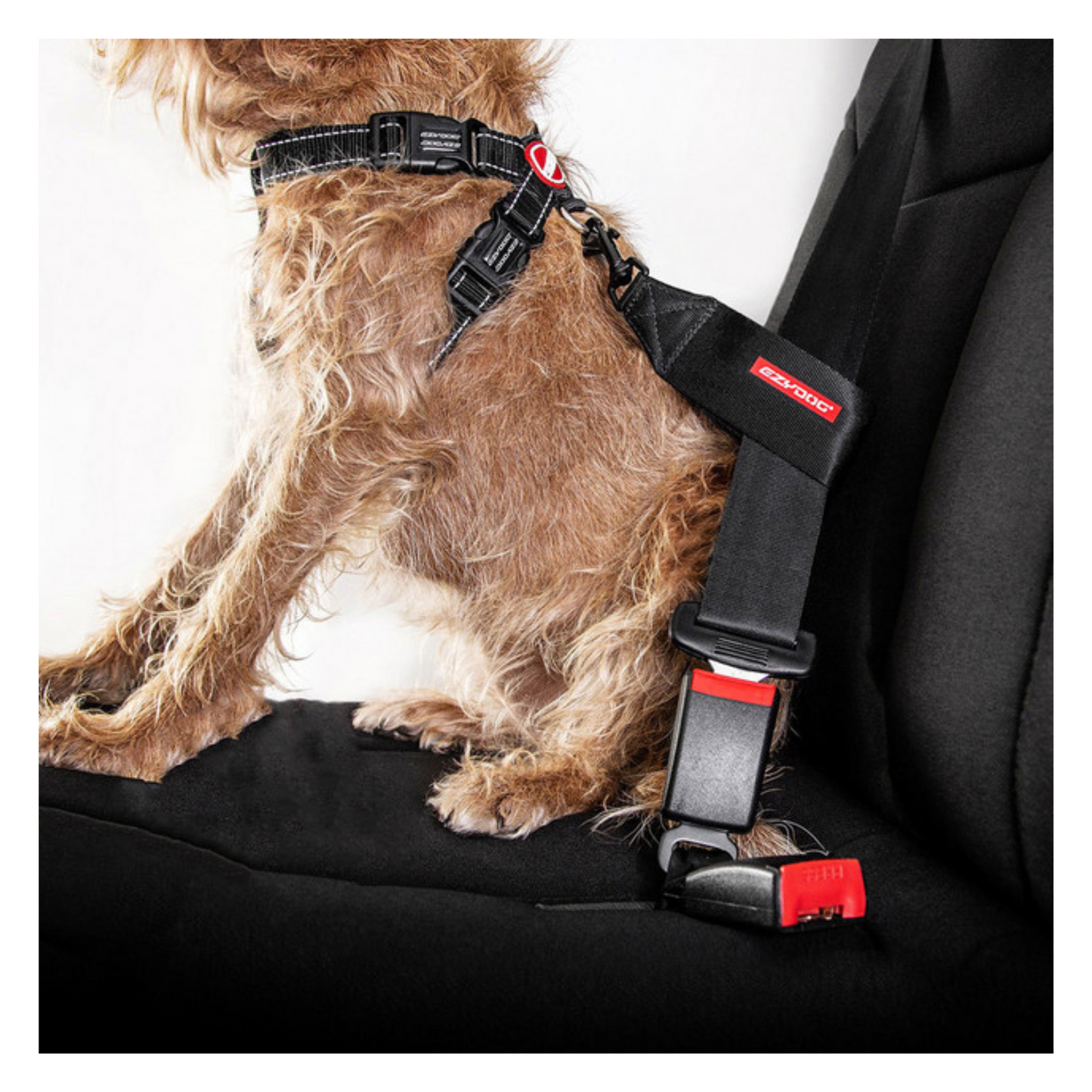 EzyDog - Universal Dog Car Restraint