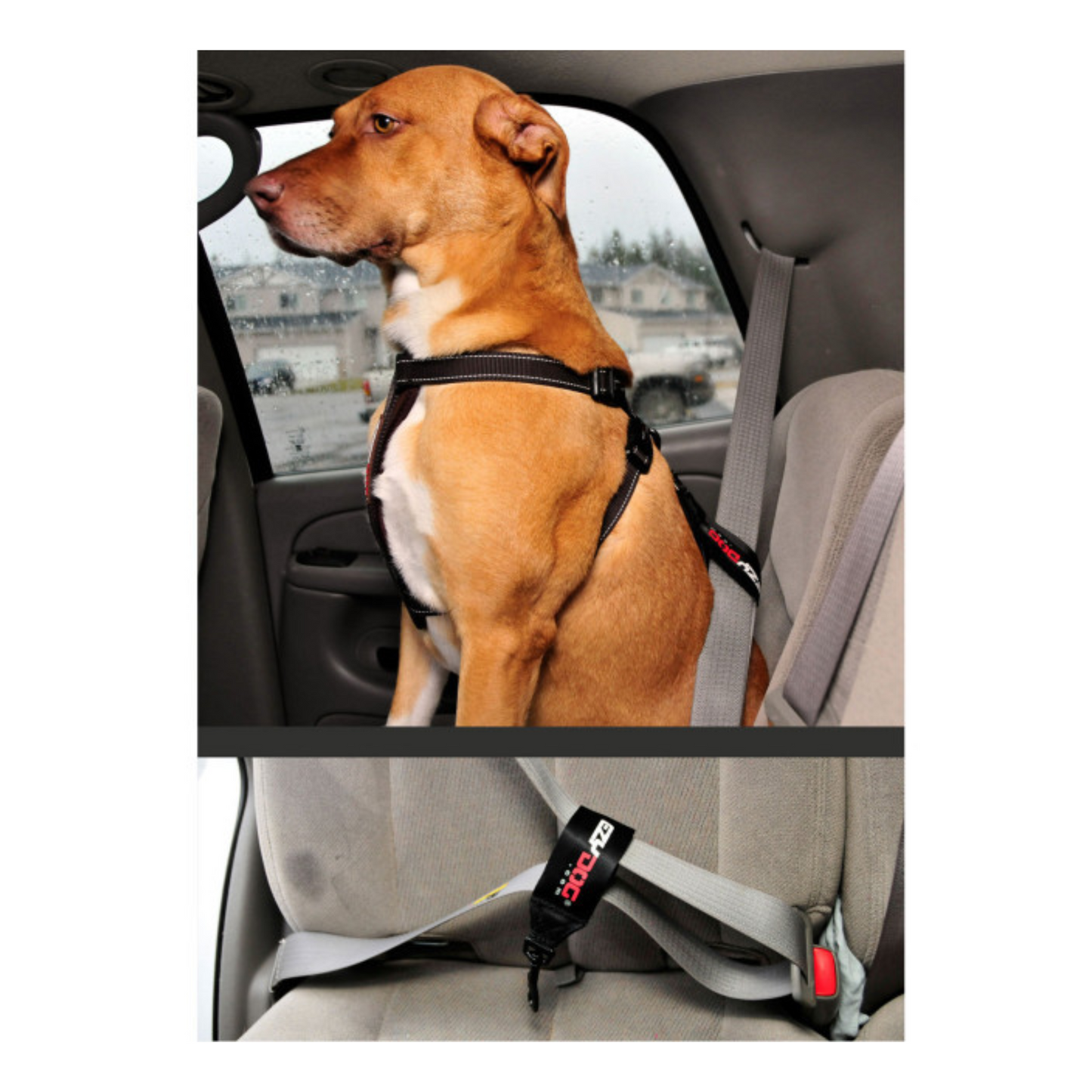 EzyDog - Universal Dog Car Restraint