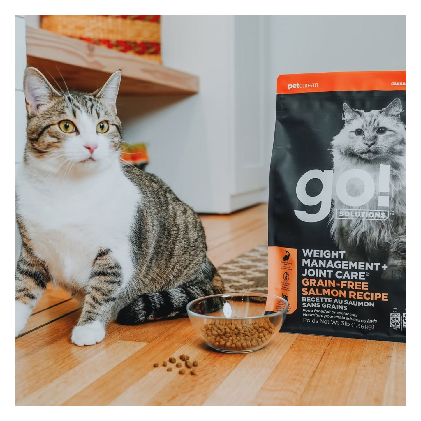 Go! - Weight and Joint Care Dry Cat Food (Salmon, Grain Free)