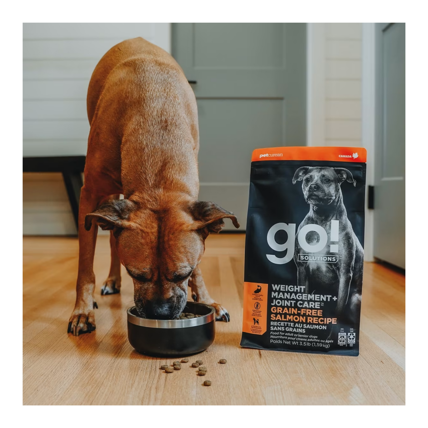 Go! - Weight and Joint Care Dry Dog Food (Salmon, Grain Free)