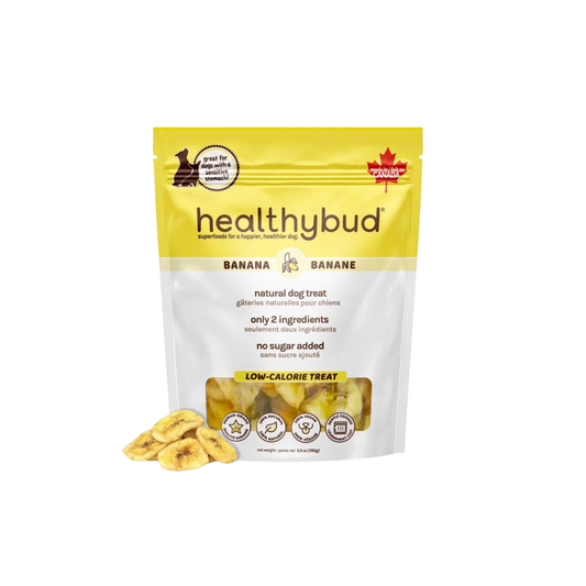 Healthybud - Banana Chips Dog Treats