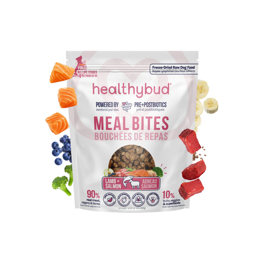Healthybud - Freeze-Dried Dog Food (Bites, Lamb and Salmon)