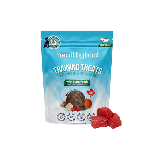 Healthybud - Mini Training Dog Treats (Beef)