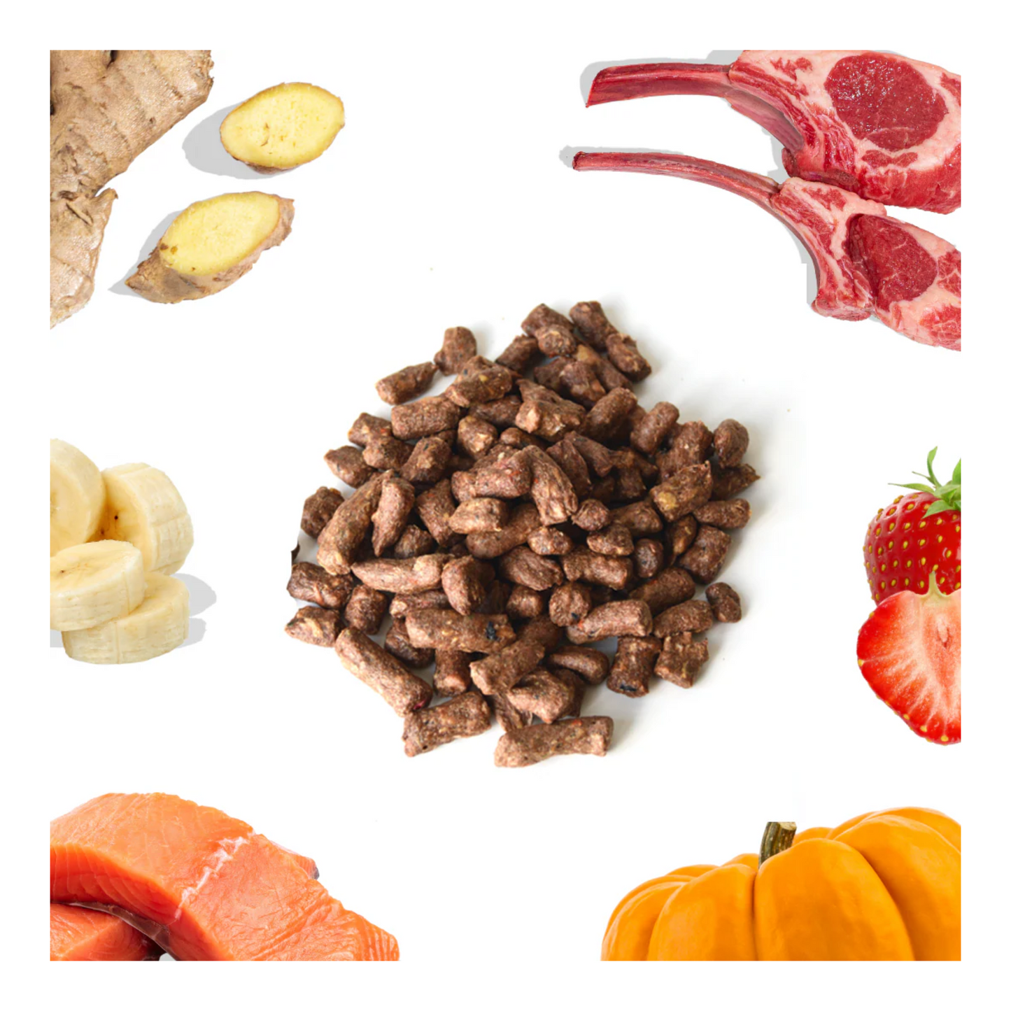 Healthybud - Freeze-Dried Dog Food (Bites, Lamb and Salmon)
