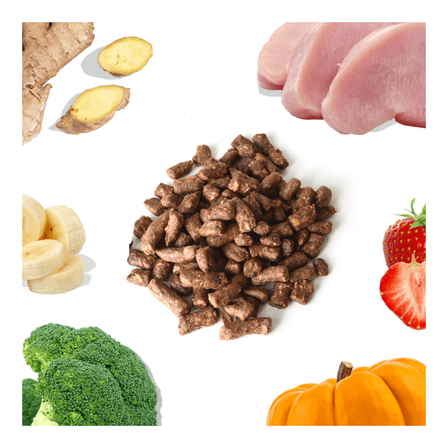 Healthybud - Freeze-Dried Dog Food (Bites, Turkey)