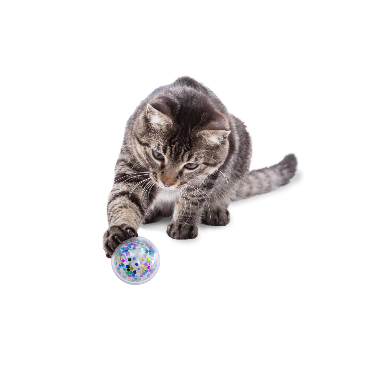 Kong - Confetti Cat Ball