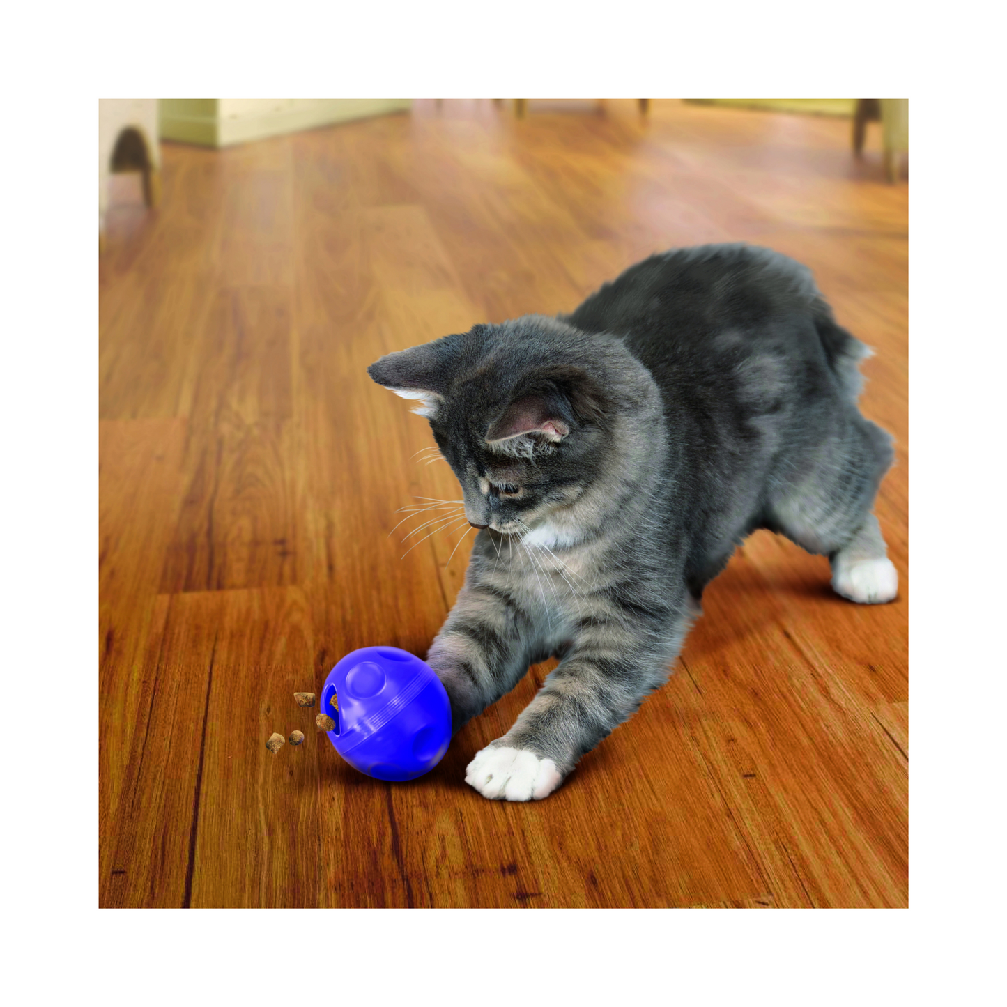 Kong - Cat Treat Dispensing Ball