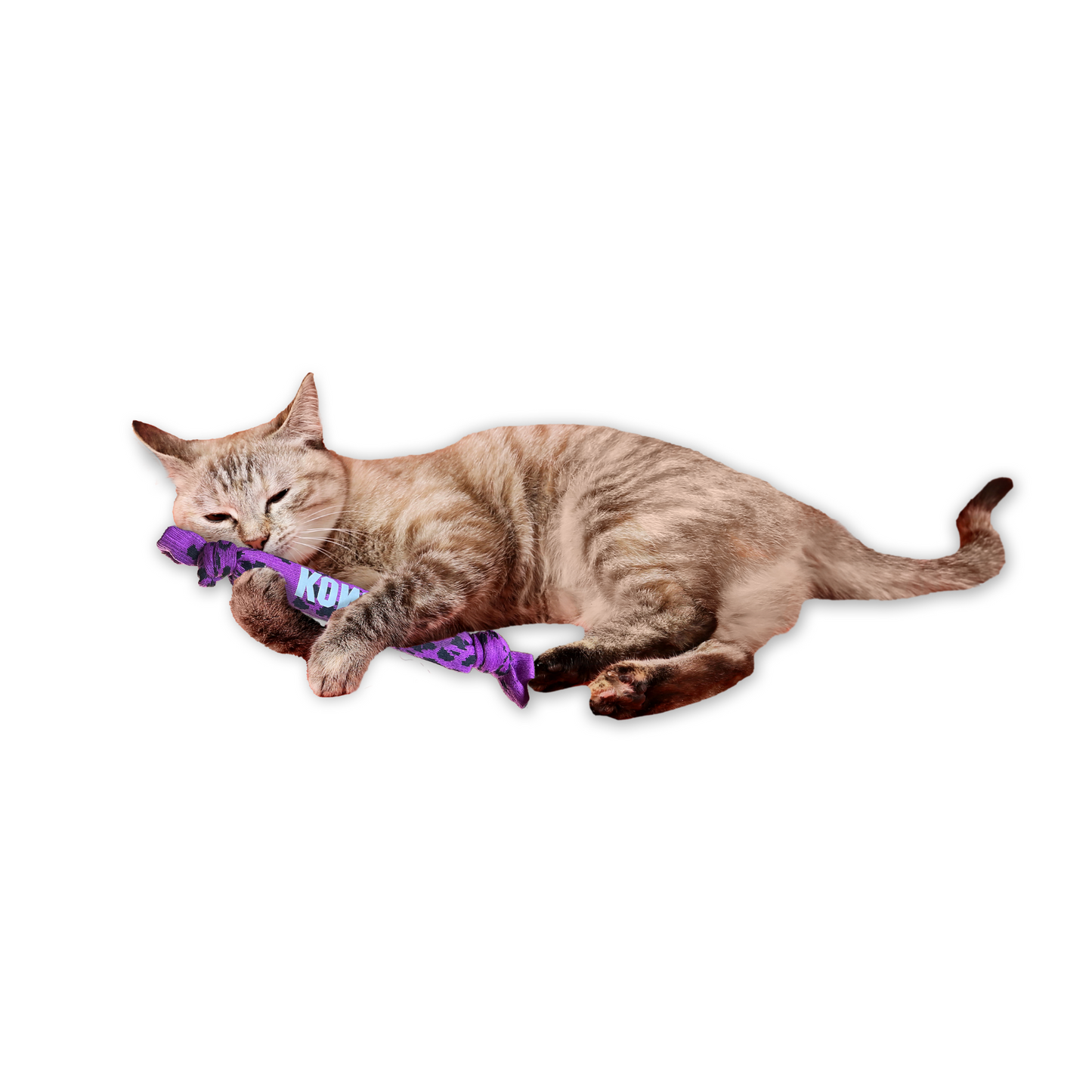 Kong - Jouet pour chat Kickeroo Crunch