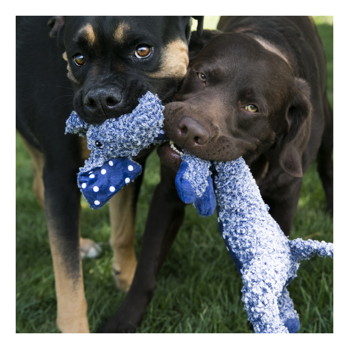 Kong - Shakers Luvs Elephant Dog Plush Toy