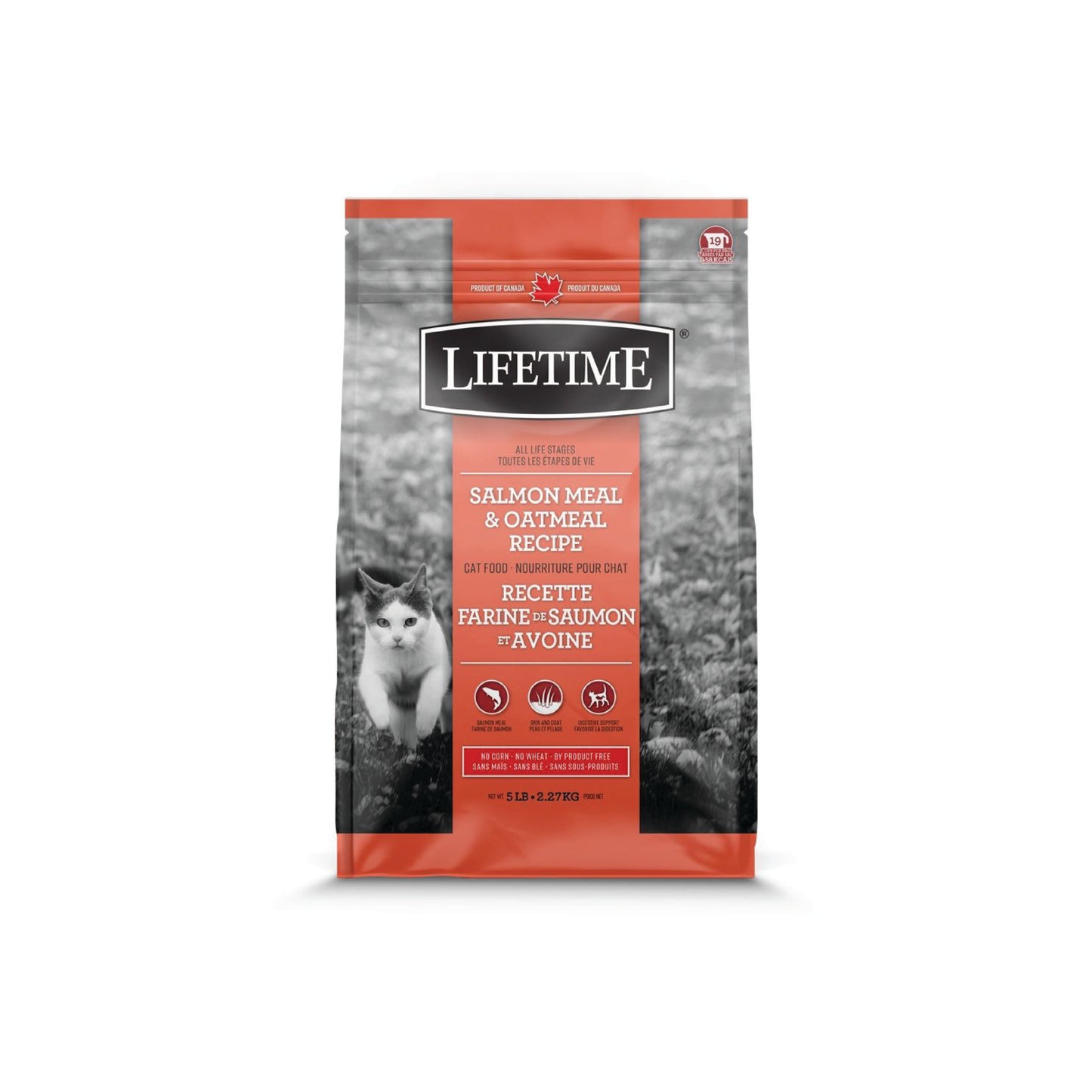 Lifetime - Nourriture sèche pour chats (au saumon)