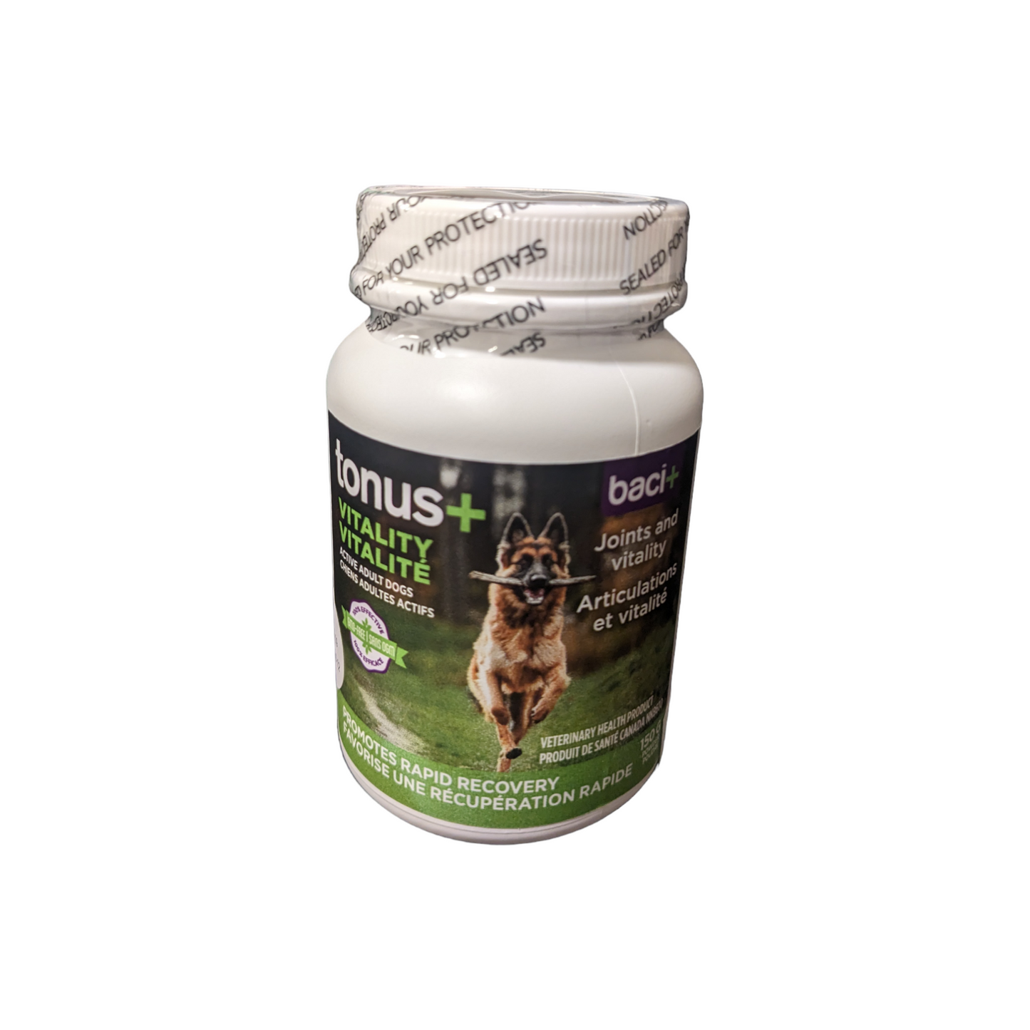 Baci+ - tonus+ Suppléments pour chien de glucosamine, chondroïtine et d'acide hyaluronique