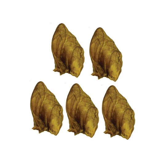 Nature's Own - Pig Ears (pack of 5)