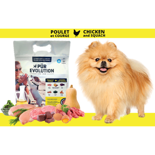 PÜR Evolution - Chicken & Squash