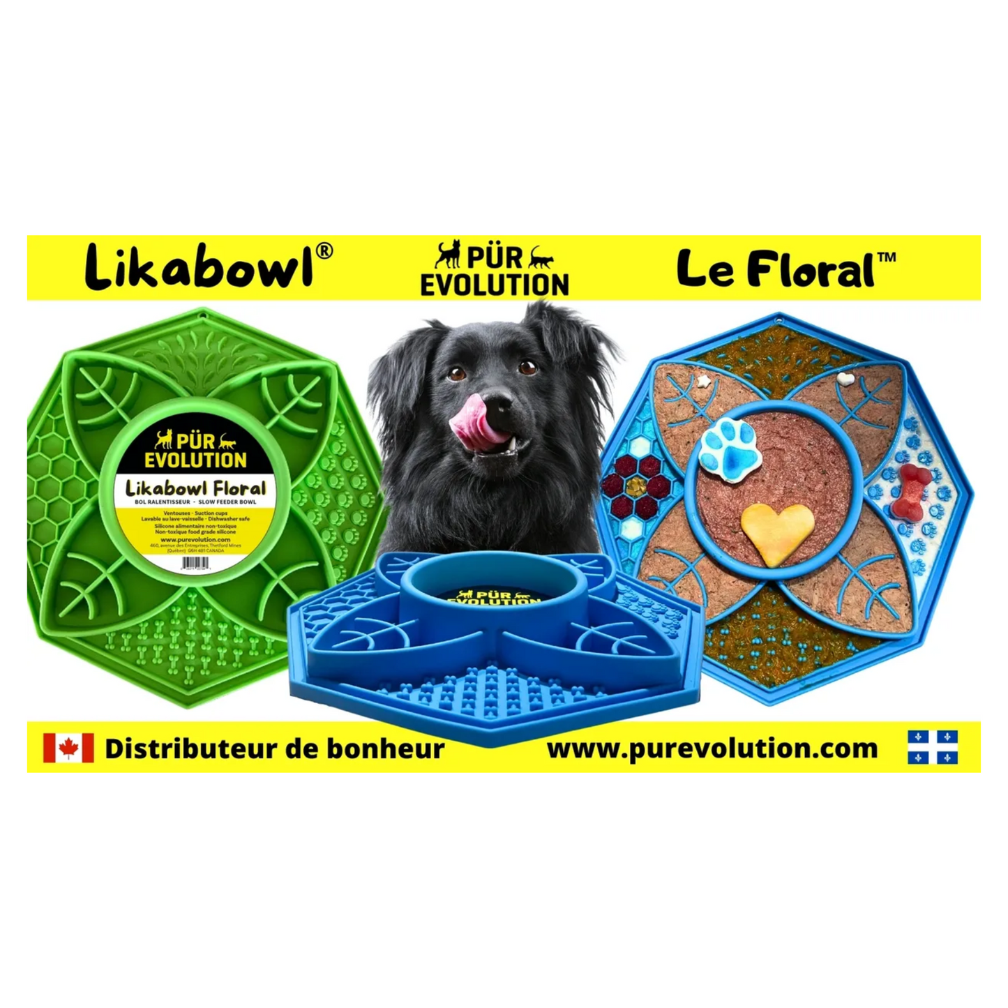 PÜR Evolution - LickaBowl Slow Feeder and Enrichment Lick Mat (Green)