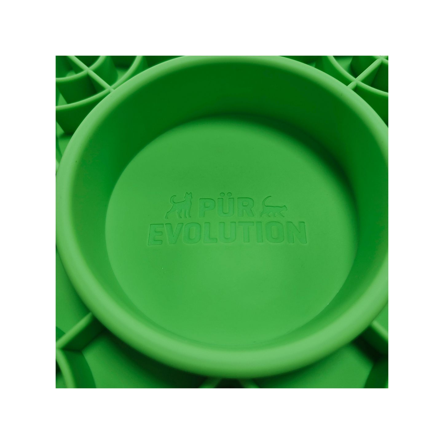 PÜR Evolution - LickaBowl Slow Feeder and Enrichment Lick Mat (Green)