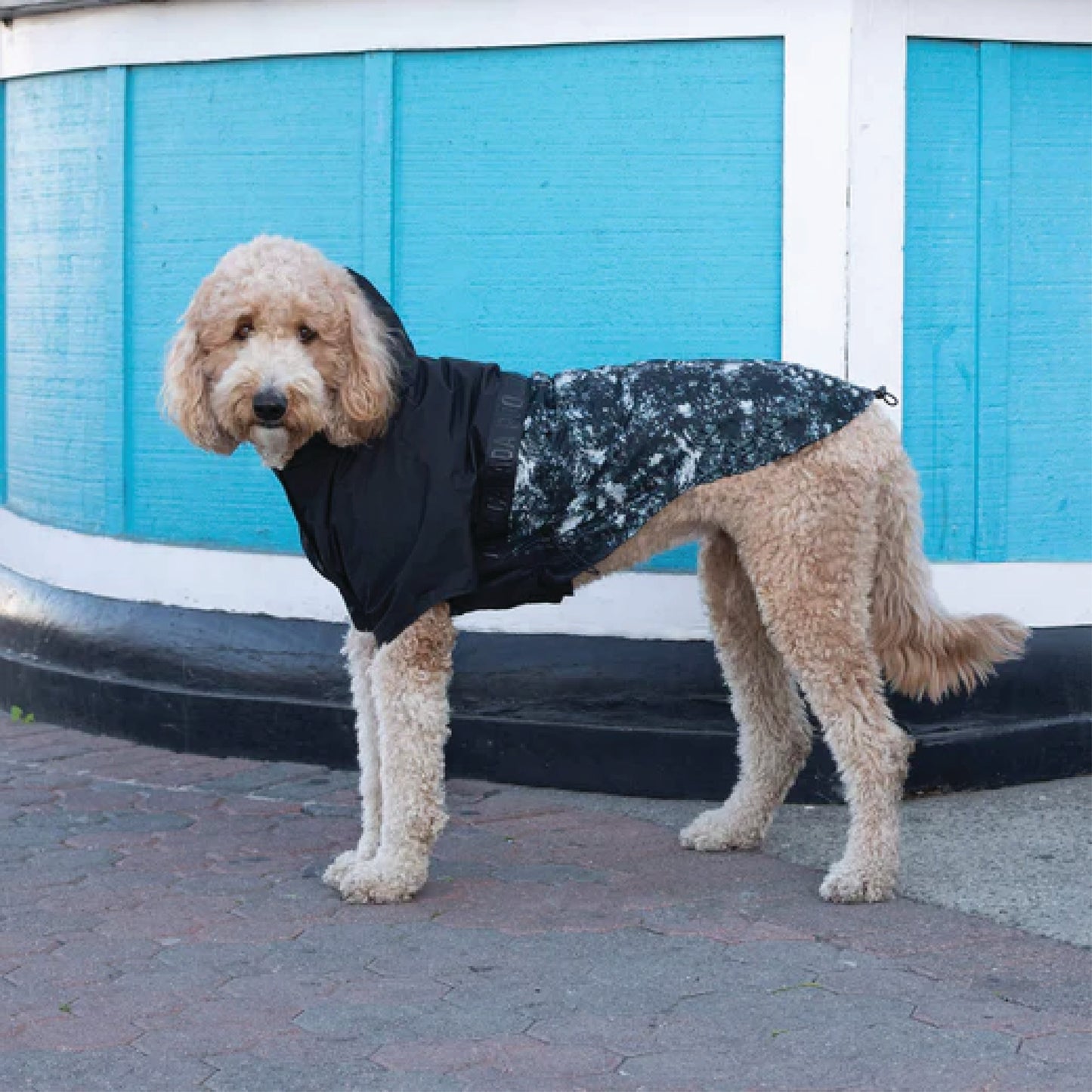 Canada Pooch - Packable Dog Raincoat (Sizes)