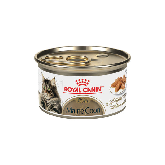 Royal Canin - Maine Coon Slices in Gravy