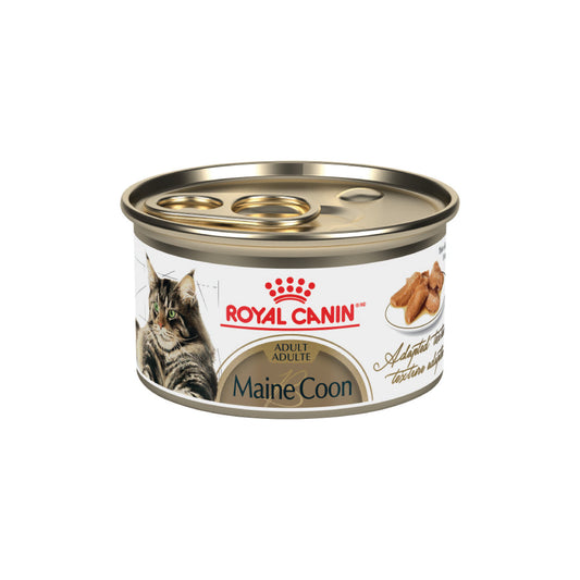 Royal Canin - Maine Coon tranches en sauce