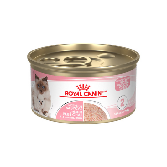 Royal Canin - Nourriture en conserve pour chatons pour mère et bébé chat mousse ultra tendre