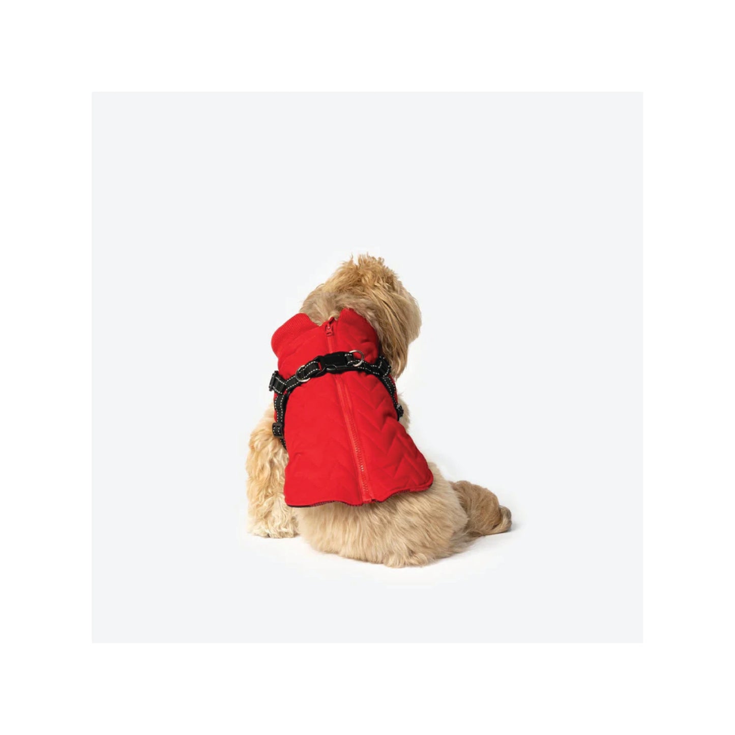 Silver Paw - Manteau pour chien avec harnais intégré (rouge)